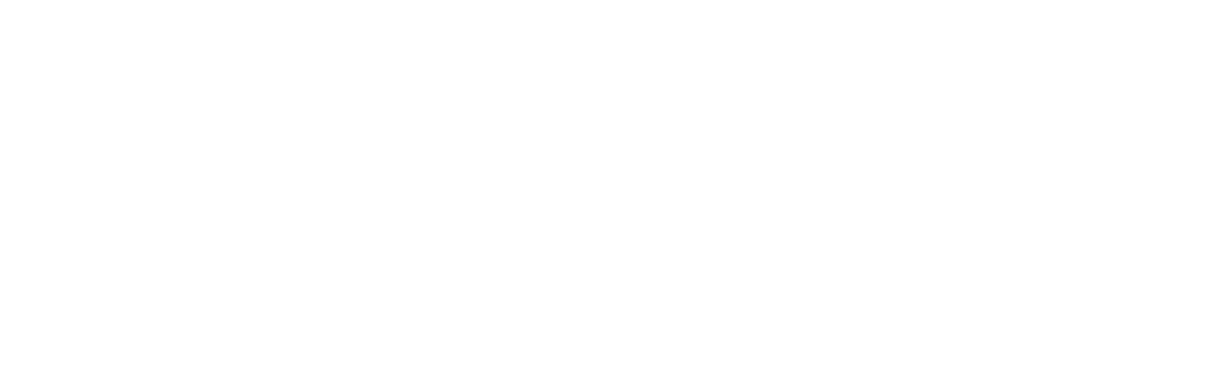 Le Chic logo